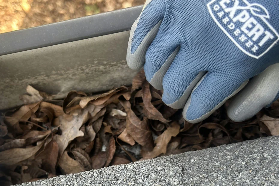 Gutter Cleaning Belleair FL