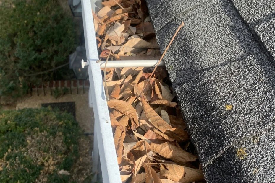 Gutter Cleaning Belleair FL