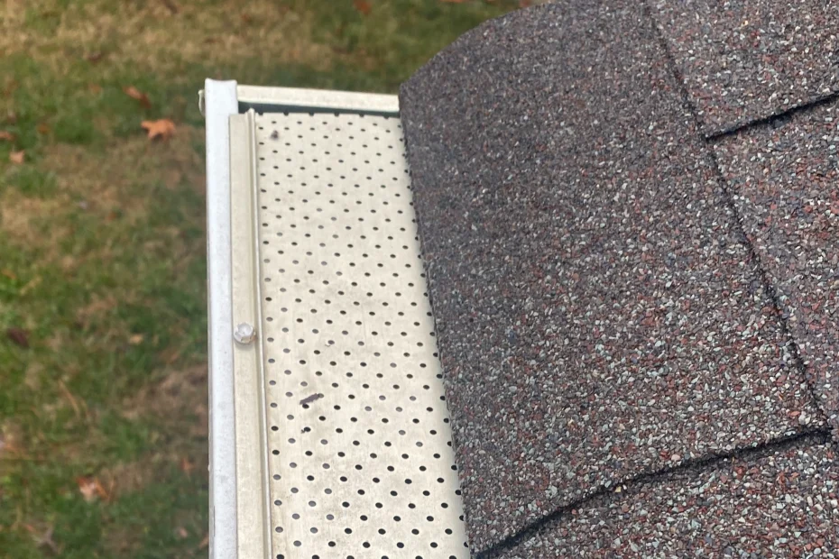 Gutter Cleaning Belleair FL